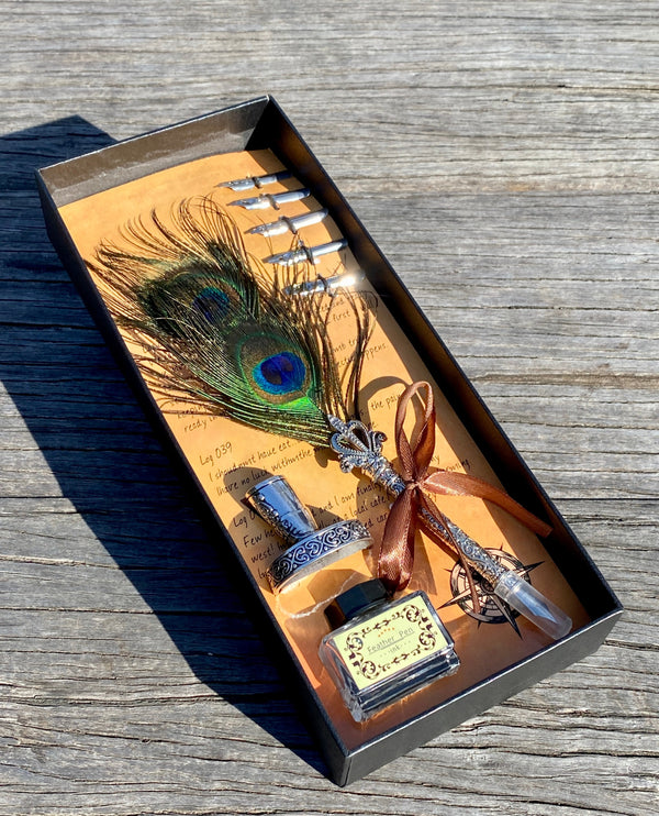 Caligraphy Ink Pen Set |  Feathers Pen - Japanese Ink