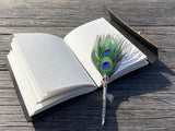 Caligraphy Ink Pen Set |  Feathers Pen - Japanese Ink